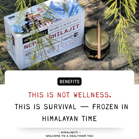 SHILAJIT FROM NEPAL - ELITE EDITION - 20GRM