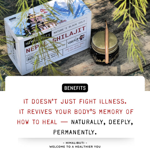 SHILAJIT FROM NEPAL - ELITE EDITION - 20GRM