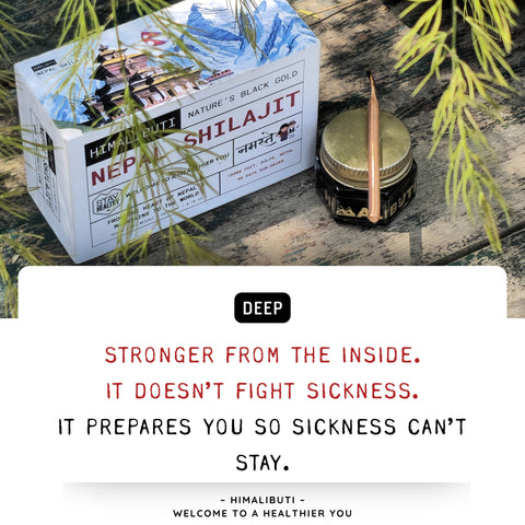 SHILAJIT FROM NEPAL - ELITE EDITION - 20GRM