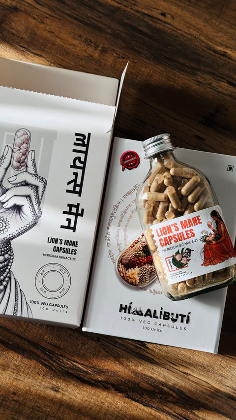 LION'S MANE CAPSULES – BRAIN & FOCUS MUSHROOM