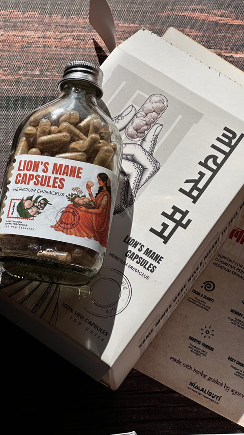 LION'S MANE CAPSULES – BRAIN & FOCUS MUSHROOM