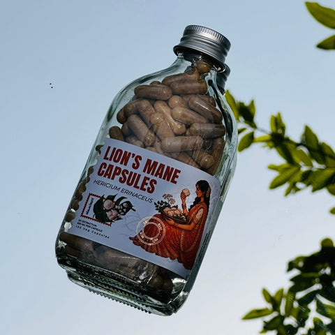LION'S MANE CAPSULES – BRAIN & FOCUS MUSHROOM